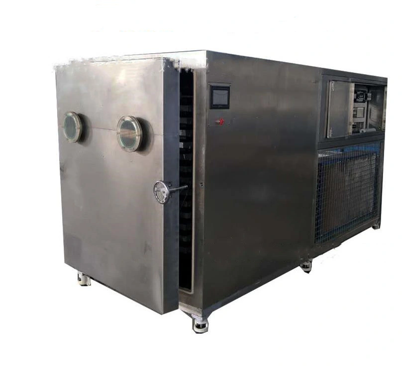 Strawberry Rose Seafood Meat Products Vacuum Freeze Dryer Vacuum Freeze Machine