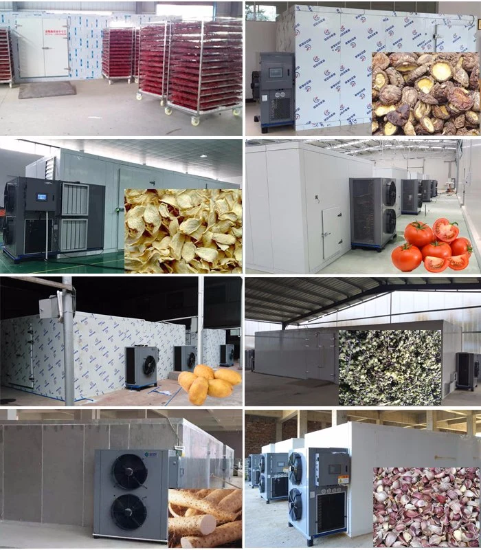 1500 Kg Per Batch Drying Capacity Tomato Fish Fruit Drying Machine Vegetable Dehydrator