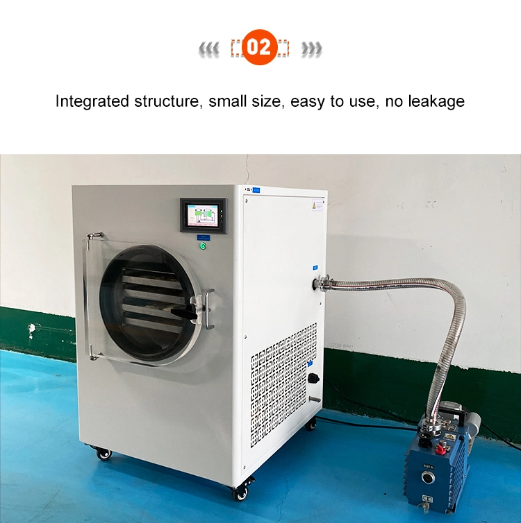 Laboratory Fruit Meat Freeze Dryer Machine