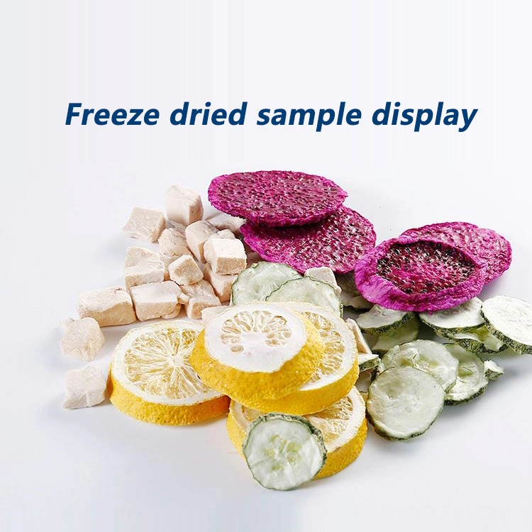 Vacuum Freeze Dryer of Fruit Vegetable Meat Food Small Home