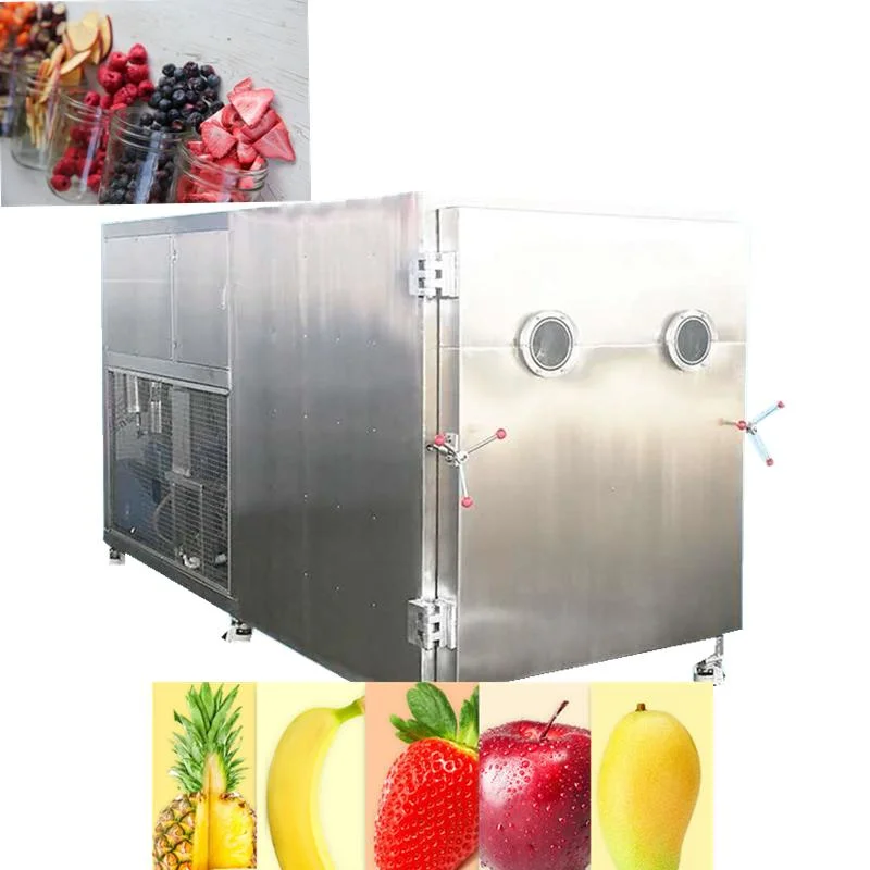 Strawberry Rose Seafood Meat Products Vacuum Freeze Dryer Vacuum Freeze Machine