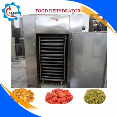 Stainless Steel Fruit Dryer Machine Food Dehydrator