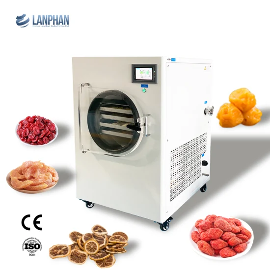 Laboratory Fruit Meat Freeze Dryer Machine