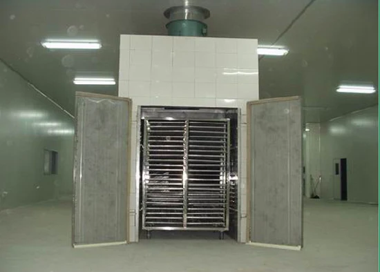 Walley Big Scale of Meat and Fish Dryer with Stainless Steel Trays