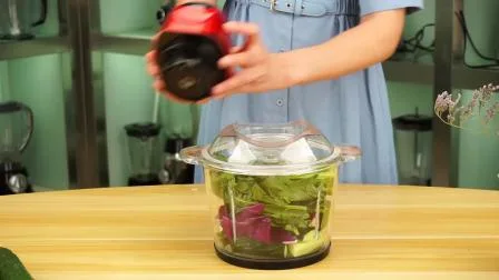 Kitchen Food Chopper Mini Vegetable Slicer
