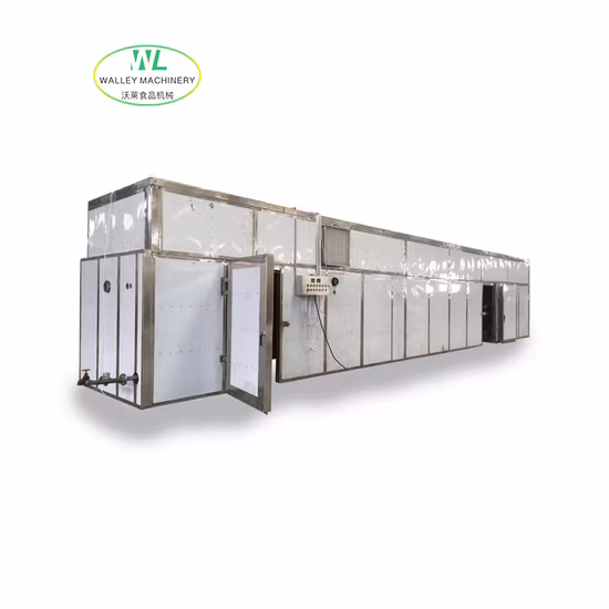 Walley Big Scale of Meat and Fish Dryer with Stainless Steel Trays
