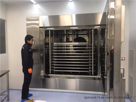 Freeze Dryer for Vegetable, Fruit or Meat, Vacuum Freeze Dryer, Freezing Dryer Equipment